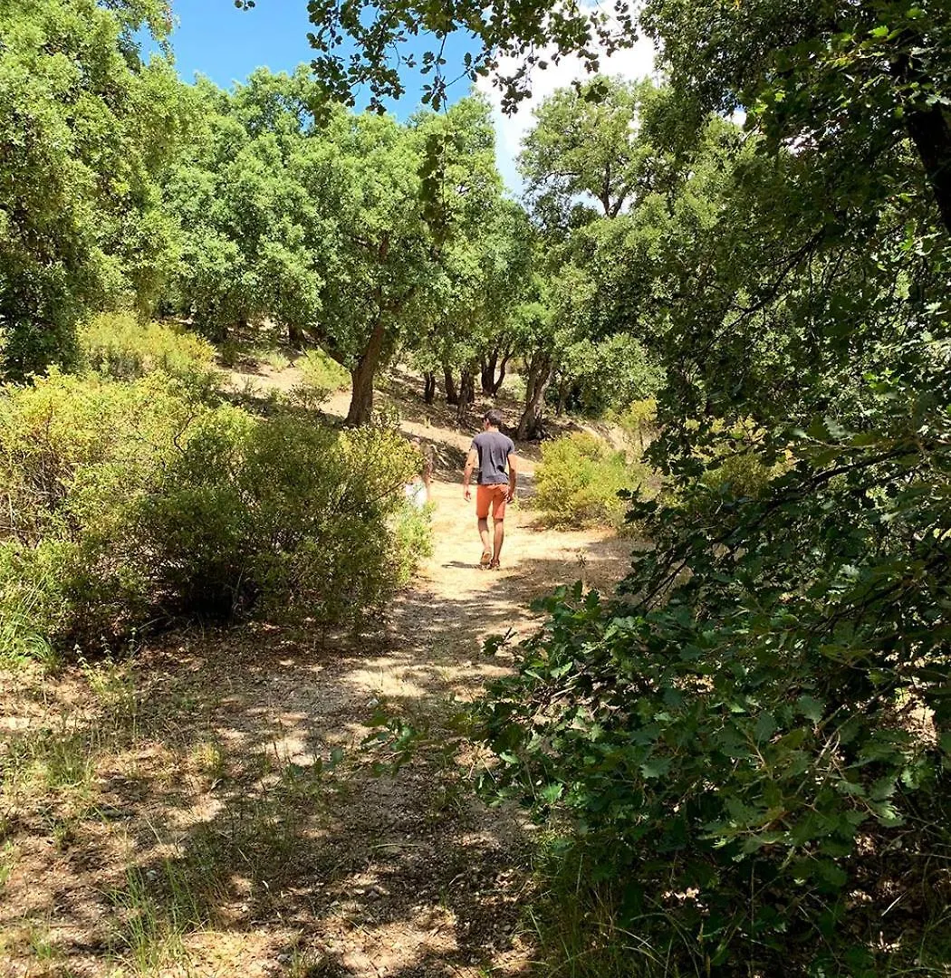 Apartment Appartement Pleine Nature 5Pers - A2 Grimaud France