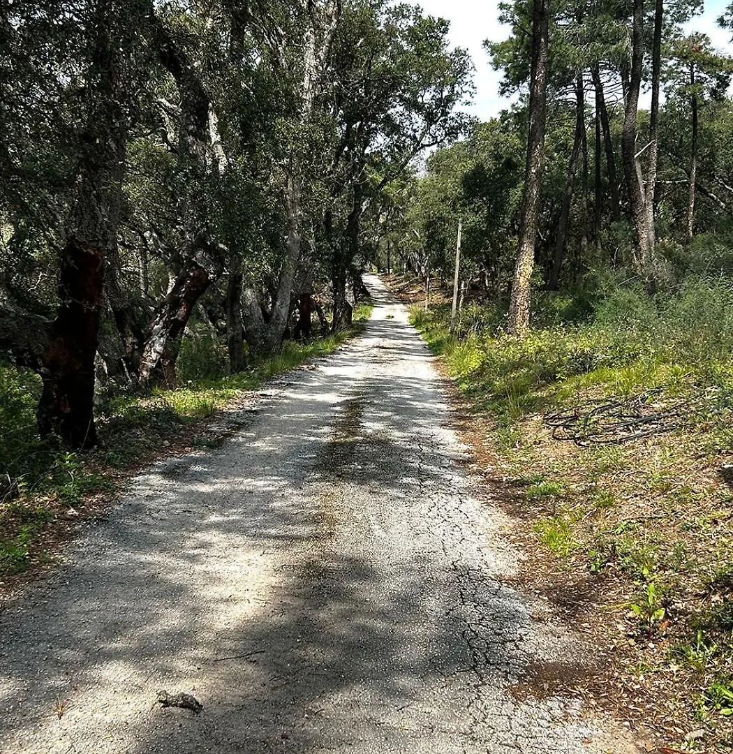 Appartement Pleine Nature 5Pers - A2 Grimaud 0*,  France
