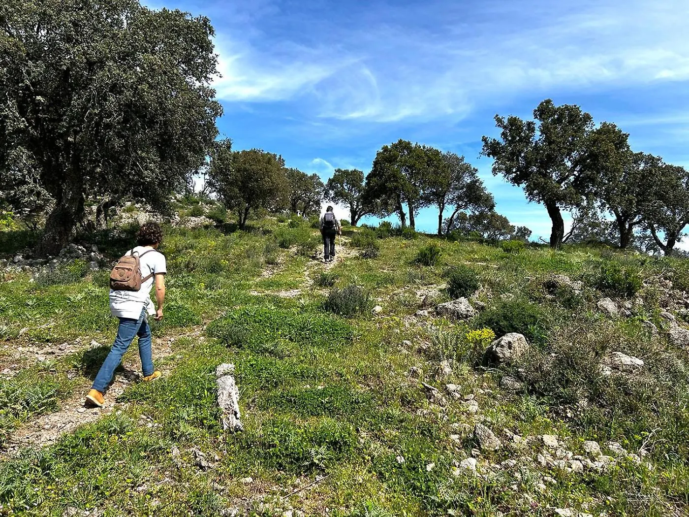 Apartment Appartement Pleine Nature 5Pers - A2 Grimaud